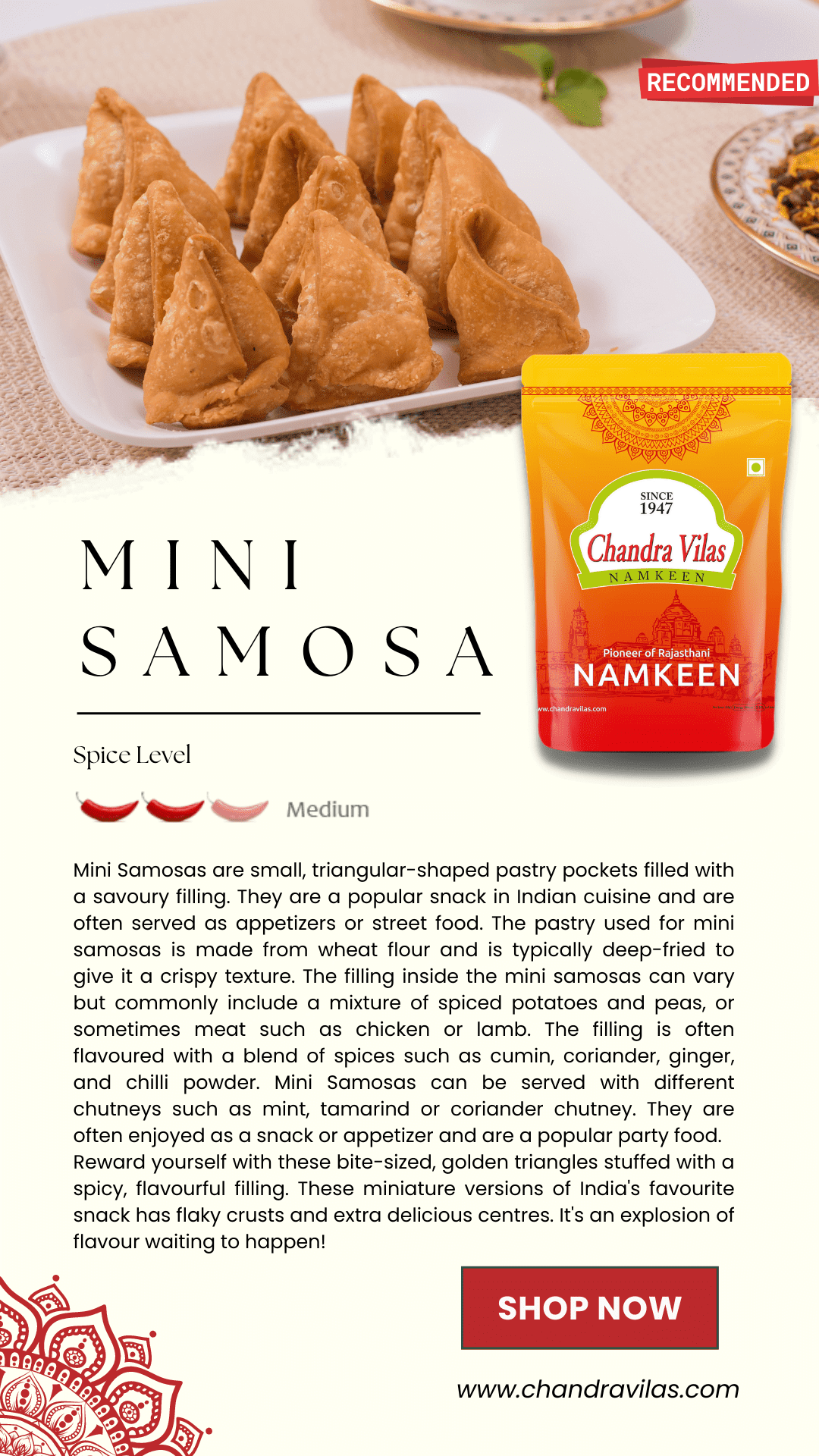 MINI SAMOSA